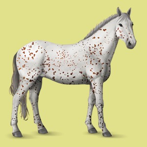 Pája-klisnička