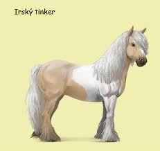 irský tinker