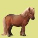 shetlandský pony